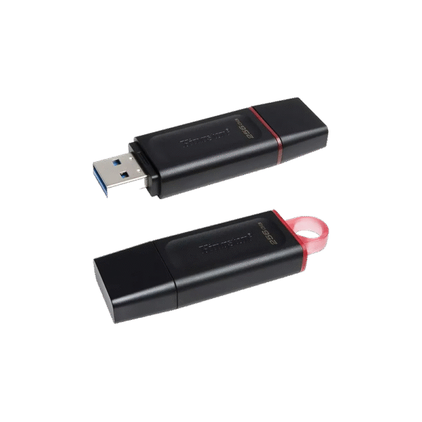 Kingston USB 256GB